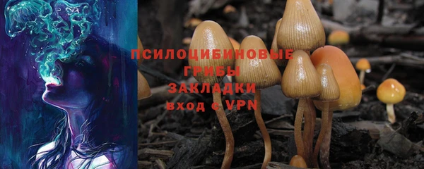 2c-b Инта